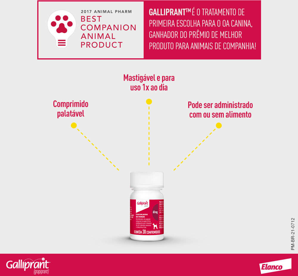 Anti-Inflamatório Elanco Galliprant 100 mg para Cães - 30 Comprimidos
