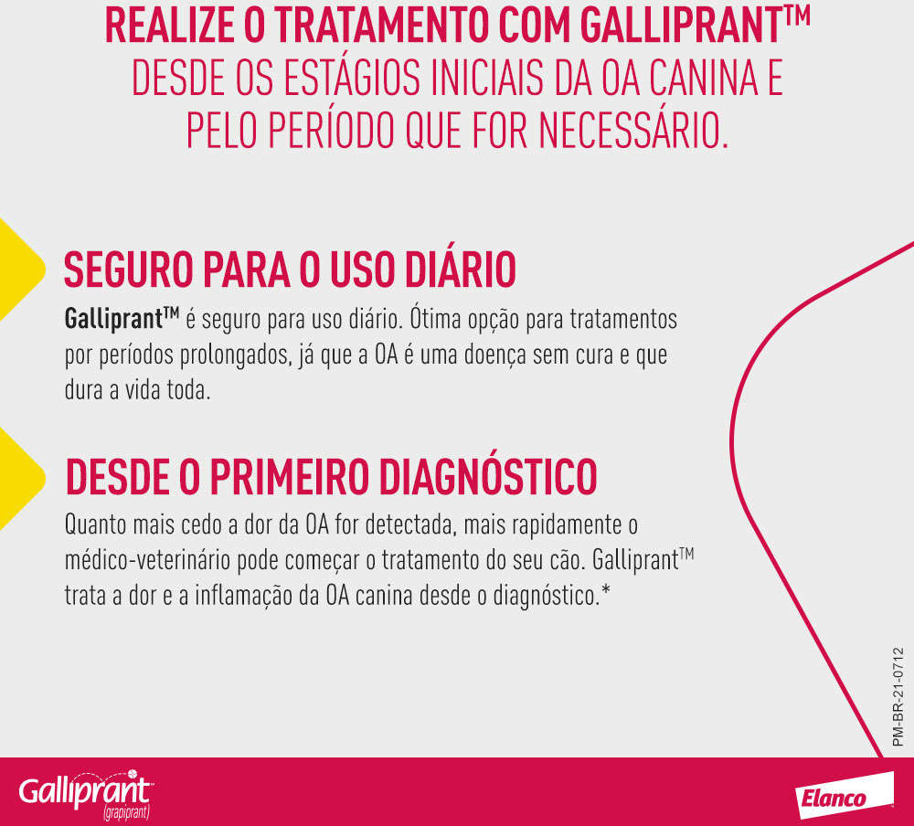 Anti-Inflamatório Elanco Galliprant 100 mg para Cães - 30 Comprimidos