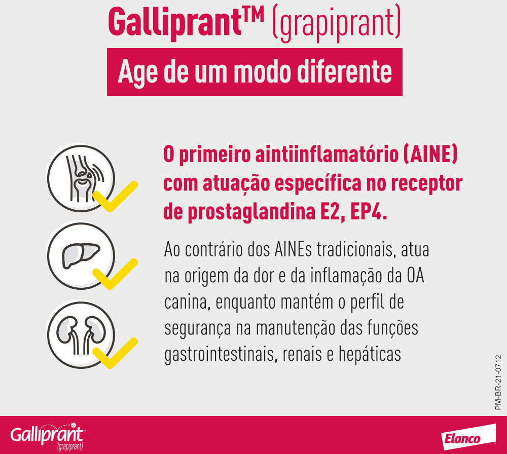 Anti-Inflamatório Elanco Galliprant 100 mg para Cães - 30 Comprimidos
