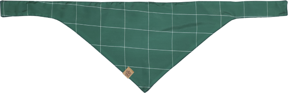 Bandana Exclusive Verde - Tam. G