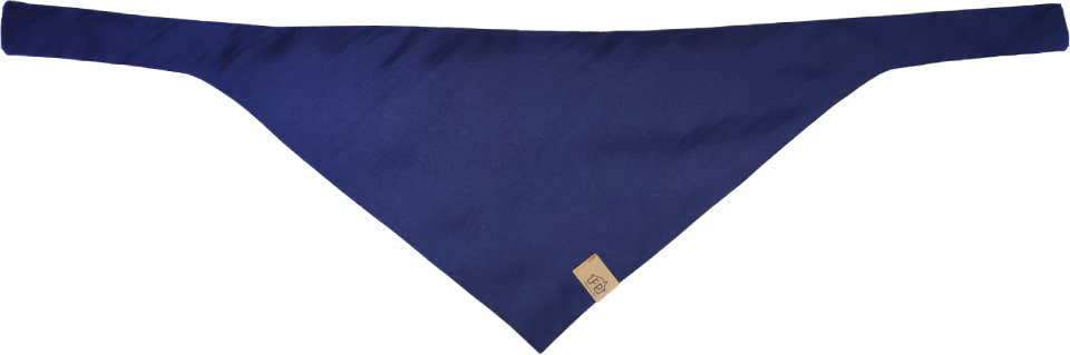 Bandana Exclusive Verde - Tam. G