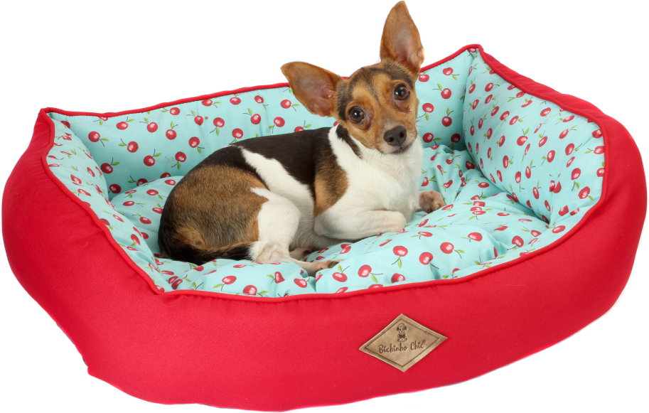 Cama Fruit Vermelho - Tam. GG