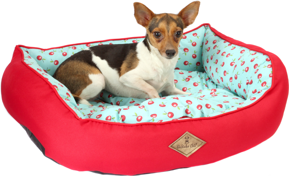 Cama Fruit Vermelho - Tam. GG