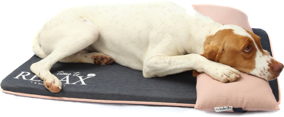 Colchonete Relax Rosa - Tam. G