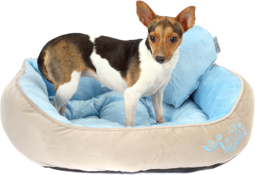 Cama In Love Azul - Tam. G