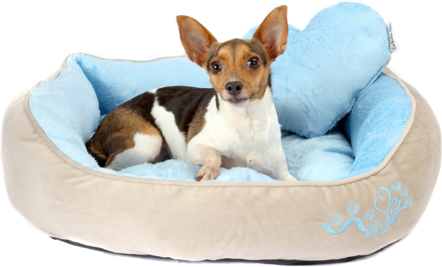 Cama In Love Azul - Tam. G