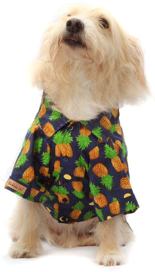 Camisa Fruit Azul - Tam. 03