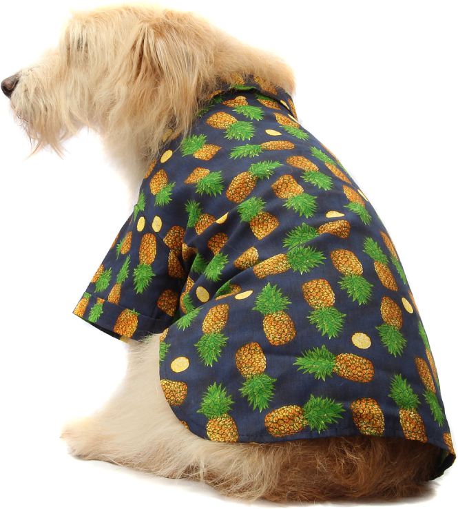 Camisa Fruit Azul - Tam. 03