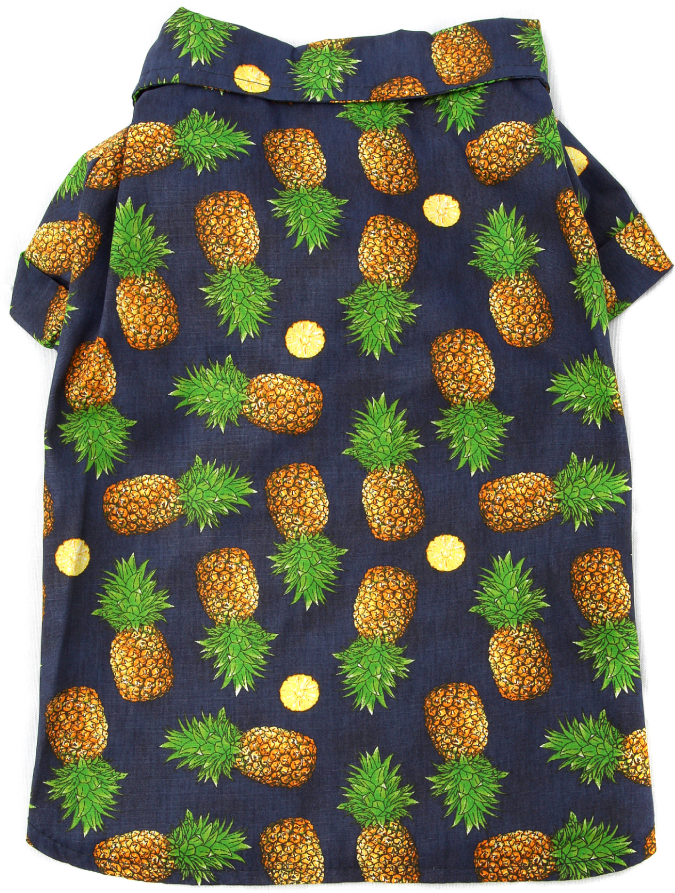 Camisa Fruit Azul - Tam. 03