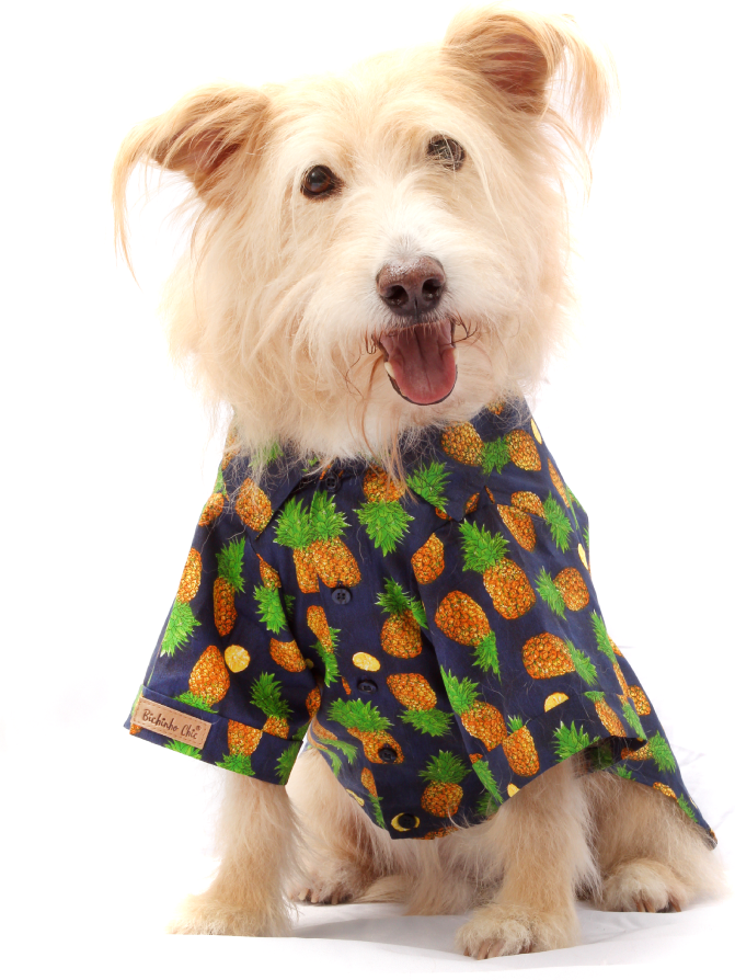 Camisa Fruit Azul - Tam. 03