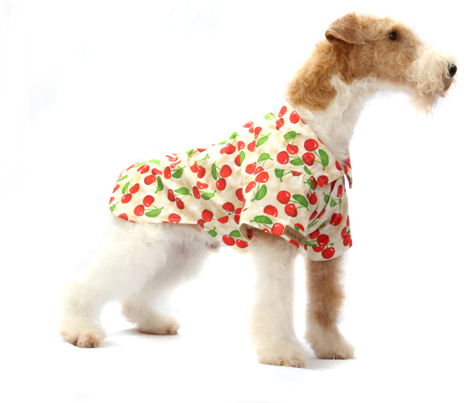 Camisa Fruit Bege - Tam. 02