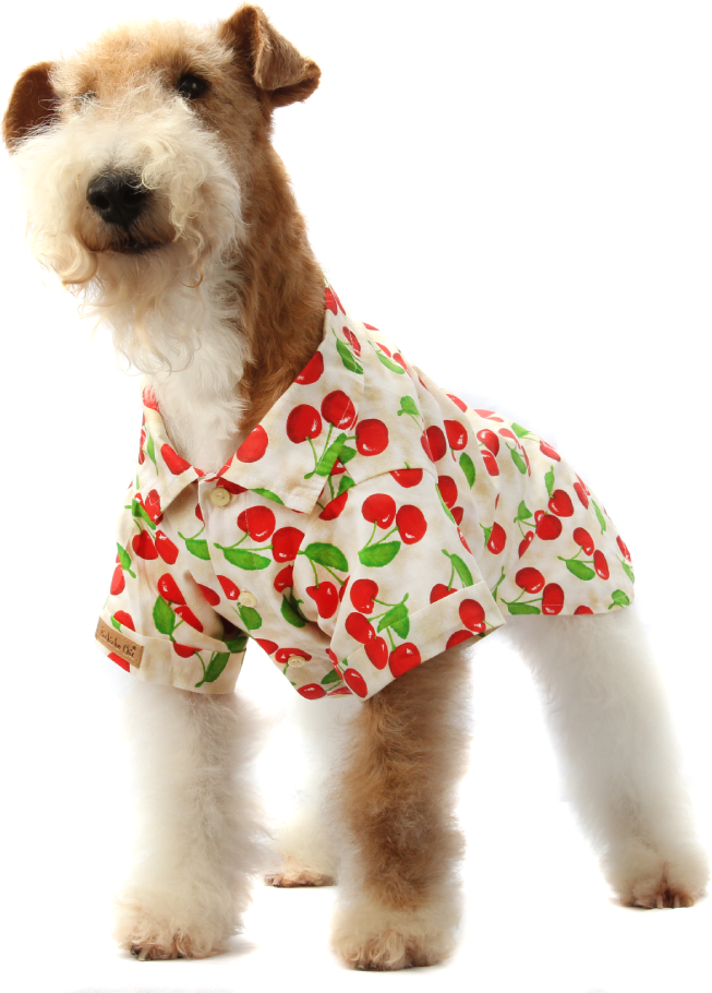 Camisa Fruit Bege - Tam. 02