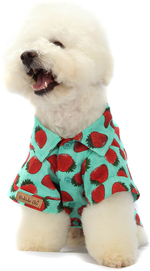 Camisa Fruit Verde - Tam. 01