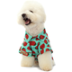 Camisa Fruit Verde