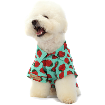 Camisa Fruit Verde