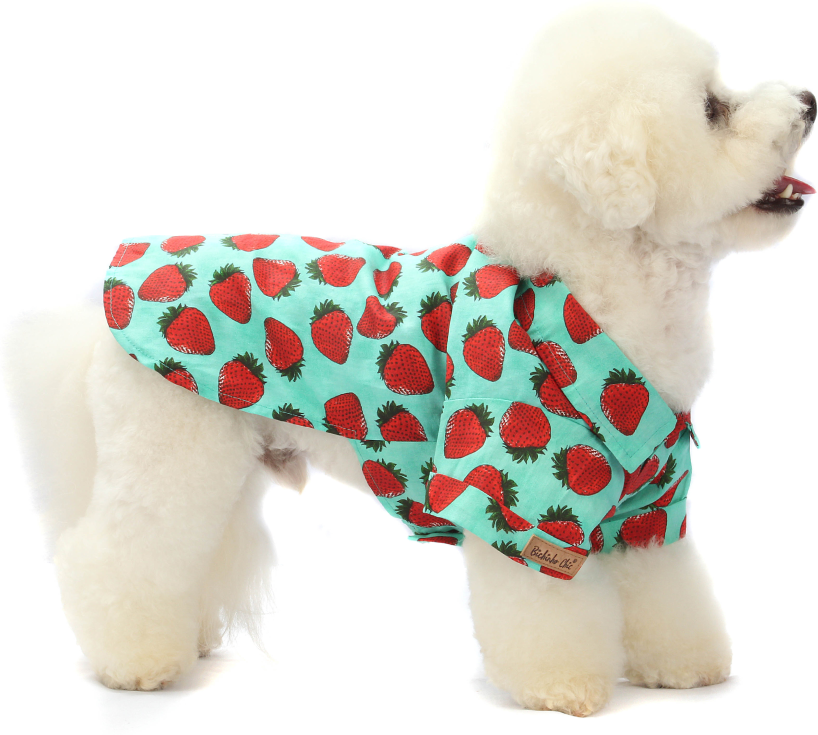 Camisa Fruit Verde - Tam. 01