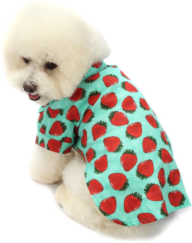 Camisa Fruit Verde - Tam. 01