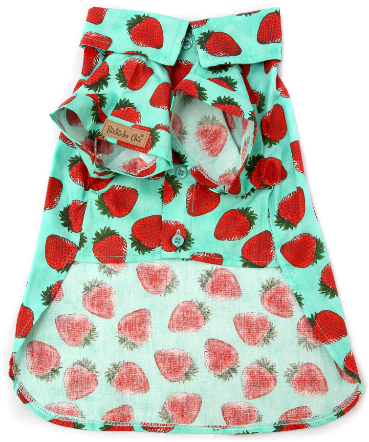 Camisa Fruit Verde - Tam. 01