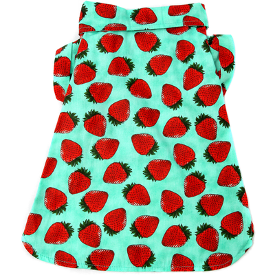 Camisa Fruit Verde