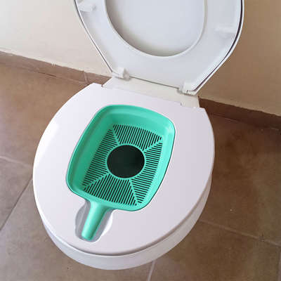 Bandeja Sanitária Gatoalete Verde para Gatos