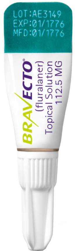 Antipulgas Bravecto Transdermal 112,5 mg para Gatos de 1,2 a 2,8Kg - 1 Pipeta