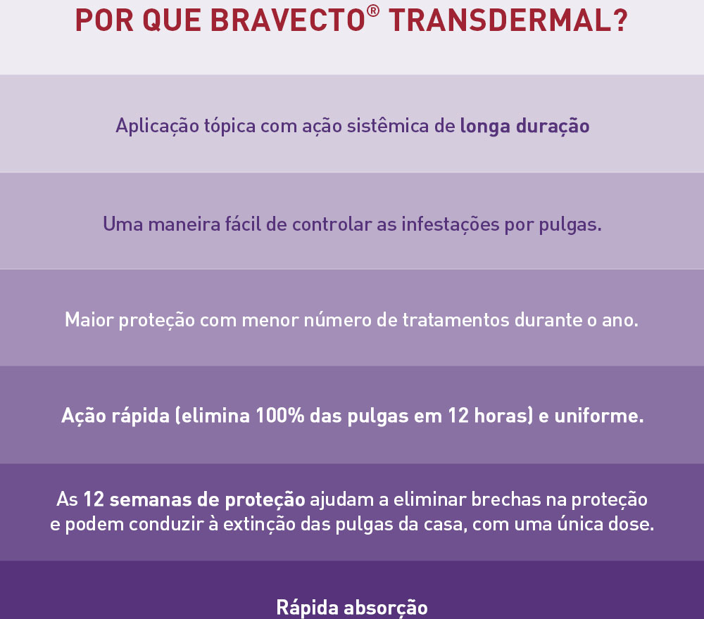 Antipulgas Bravecto Transdermal 112,5 mg para Gatos de 1,2 a 2,8Kg - 1 Pipeta