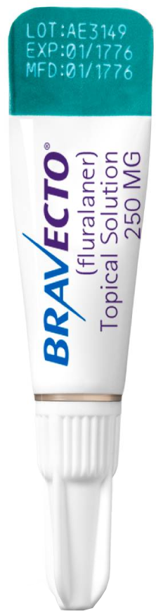 Antipulgas Bravecto Transdermal 250 mg para Gatos de 2,8 a 6,25Kg - 1 Pipeta