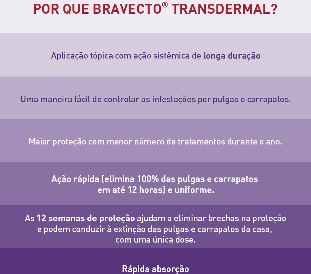 Antipulgas e Carrapatos Bravecto Transdermal 112,5 mg para Cães de 2 a 4,5Kg - 2 Caixas (2 Pipetas)