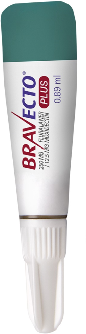 Antipulgas Bravecto Transdermal Plus 250 mg para Gatos de 2,8 a 6,25Kg - 2 Caixas (2 Pipetas)