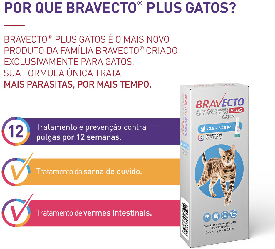 Antipulgas Bravecto Transdermal Plus 250 mg para Gatos de 2,8 a 6,25Kg - 2 Caixas (2 Pipetas)