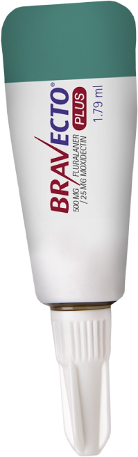 Antipulgas Bravecto Transdermal Plus para Gatos de 6,25 a 12,5Kg - 2 Caixas (2 Pipetas)