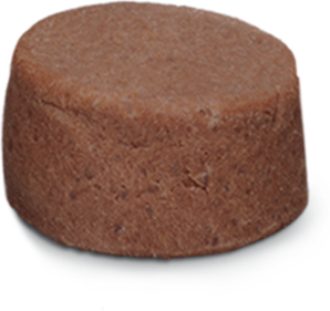 Antipulgas e Carrapatos Bravecto 500 mg para Cães de 10 a 20Kg - 1 Comprimido