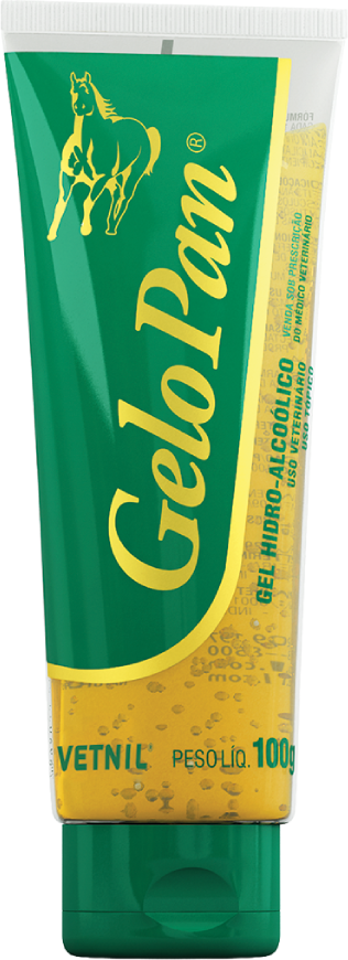 Gel Hidro Alcoólico Gelo Pan Vetnil - 100 g