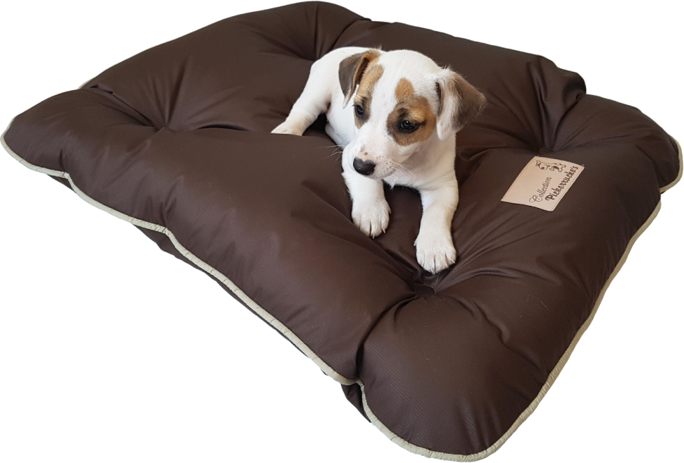Almofadog Impermeável Choco - Tam. GG