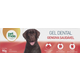 Gel Dental Petmais Gengiva Saudável para Cães