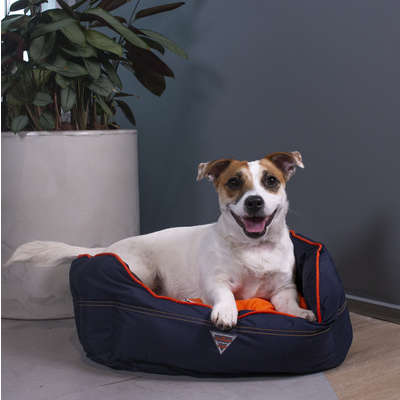 Cama Touch Laranja_L