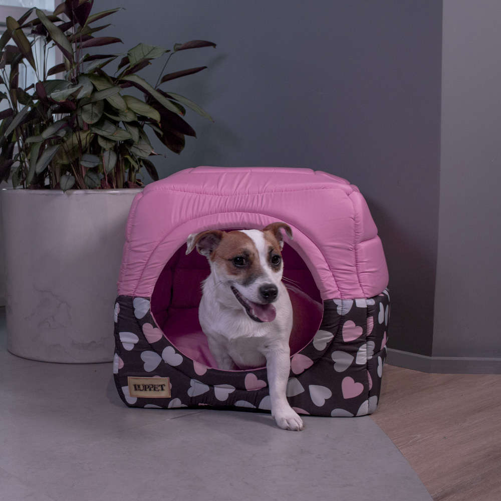 Cama Luppet Iglu 2 em 1 Preto Coração - Tam. G