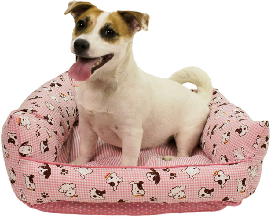 Cama Baby Dog Rosa - Tam. M