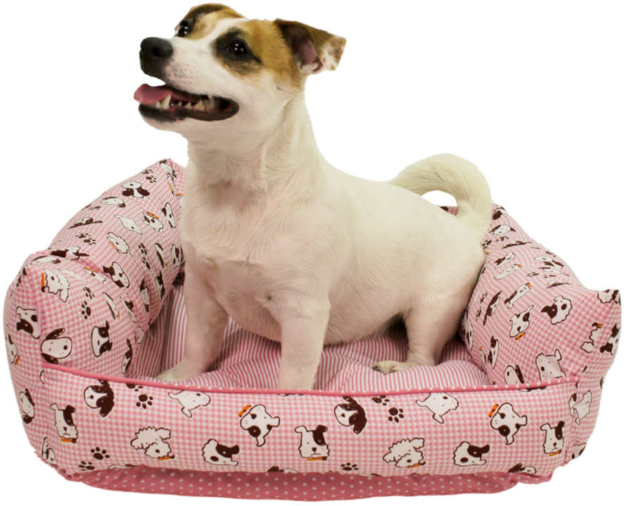 Cama Baby Dog Rosa - Tam. M