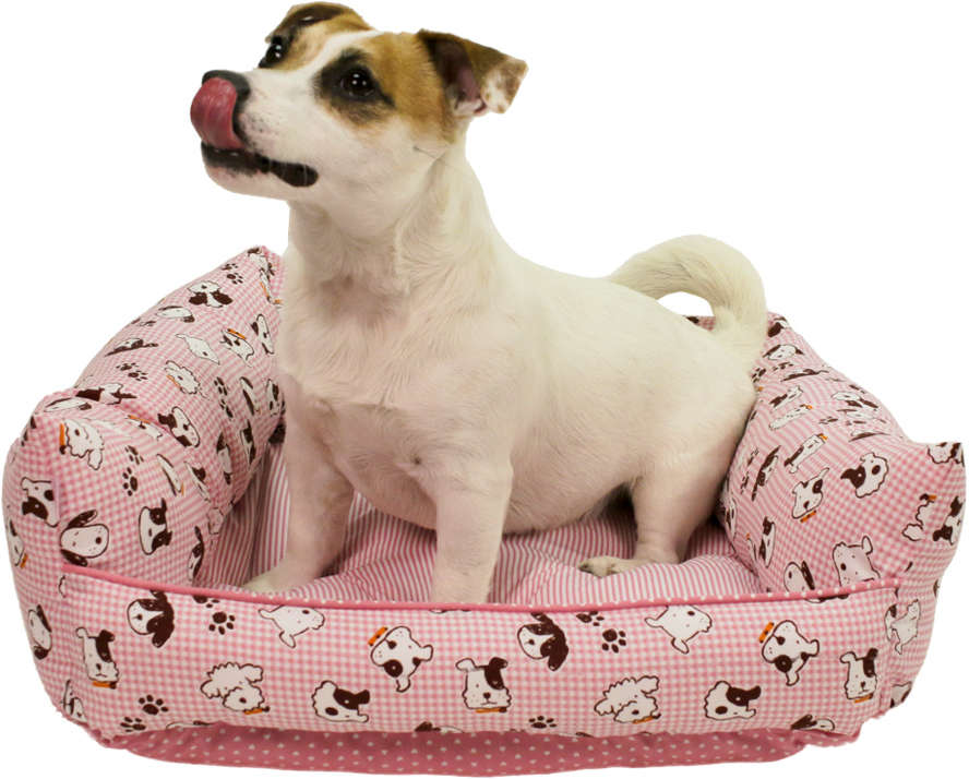 Cama Baby Dog Rosa - Tam. M