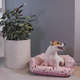 Cama Baby Dog Rosa_L