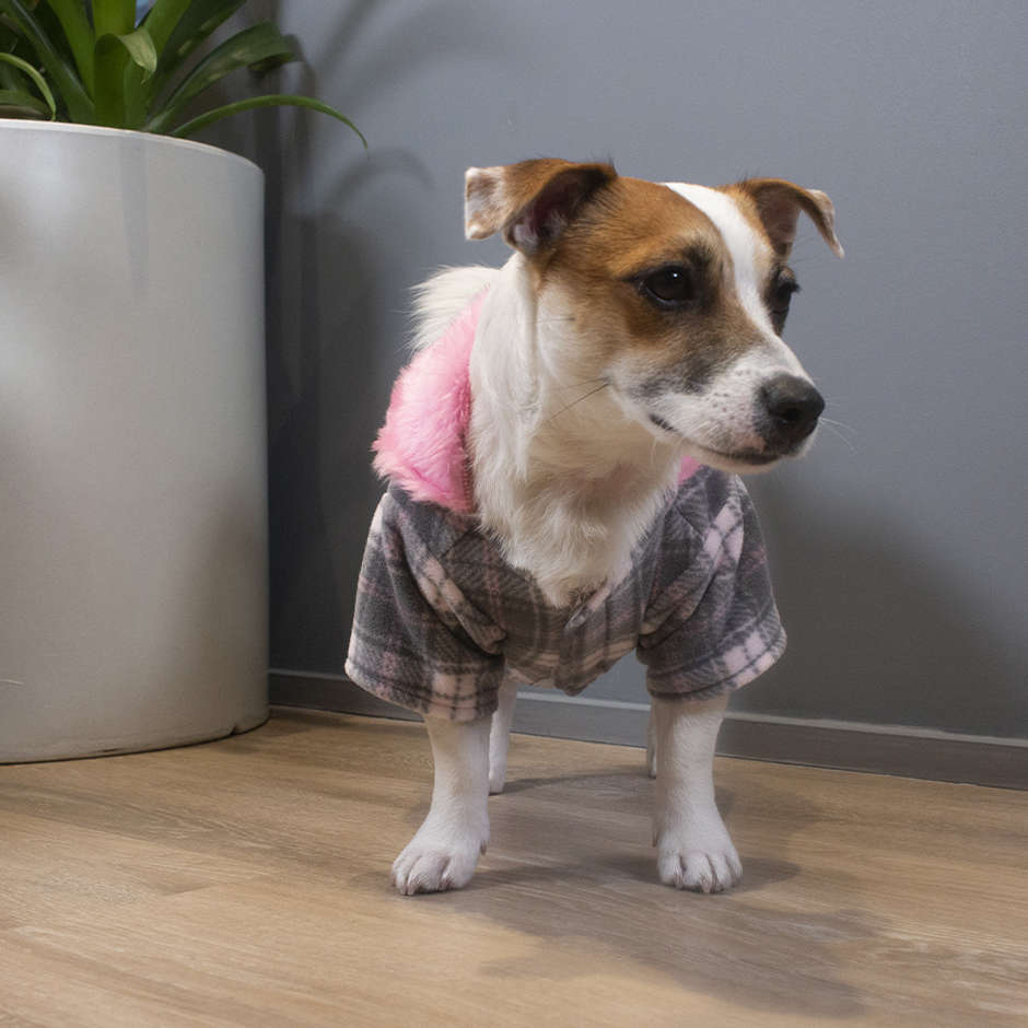 Blusa Luppet Rosa - Tam. GG