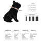 Coleira FreeFaro Super Pets