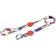 Guia Tradicional FreeFaro Super Pets 2 Metros - Tam. PP