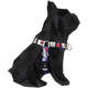 Peitoral Anti-Puxão FreeFaro Super Pets