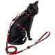 Peitoral com Guia FreeFaro Batman Dark para Gatos