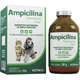 Antibiótico Vetnil Ampicilina para Cães e Gatos