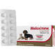 Anti-inflamatório Vetnil Meloxinew 1 mg para Cães e Gatos
