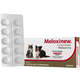 Anti-inflamatório Vetnil Meloxinew 2 mg para Cães e Gatos