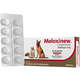 Anti-inflamatório Vetnil Meloxinew 4 mg para Cães e Gatos